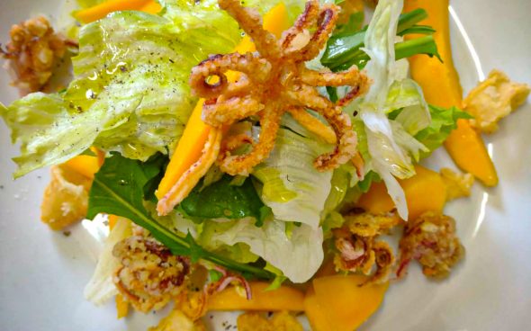 WhatsApp Image 2025-11-11 at 09.56.33